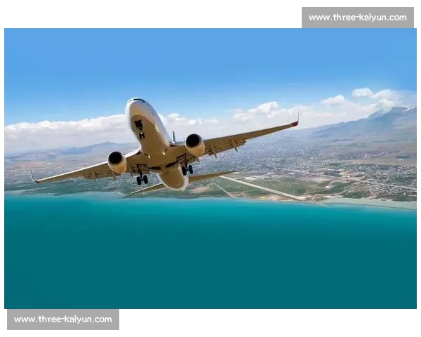 单程机票的隐喻：伊万离任与行政权力博弈